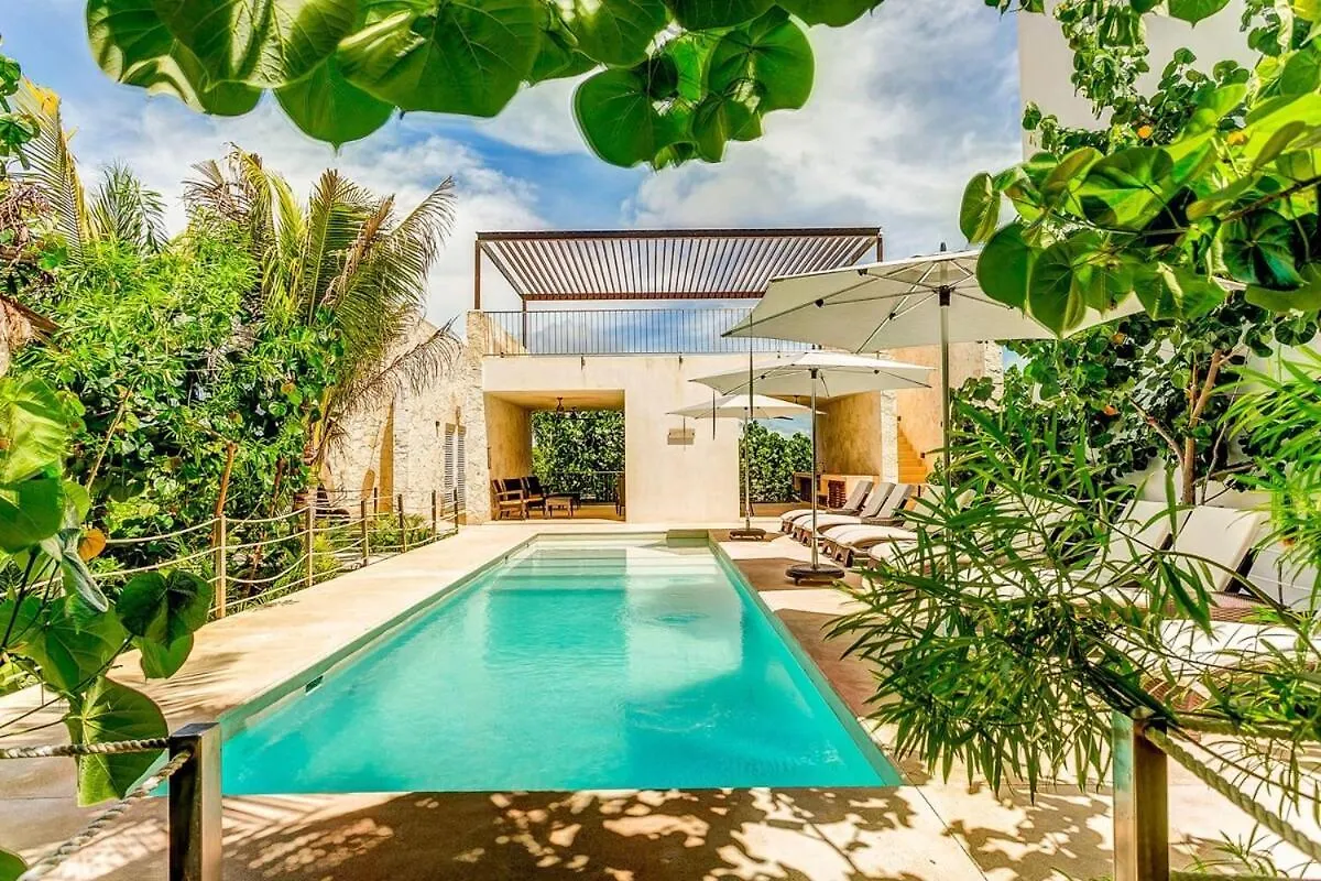 Chic Beachfront Condo Ocean View Rooftop Pools Akumal Mexico