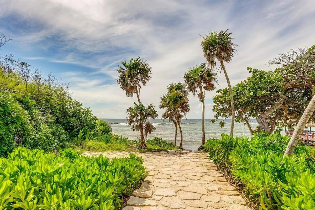 Chic Beachfront Condo Ocean View Rooftop Pools アクマル 0*,