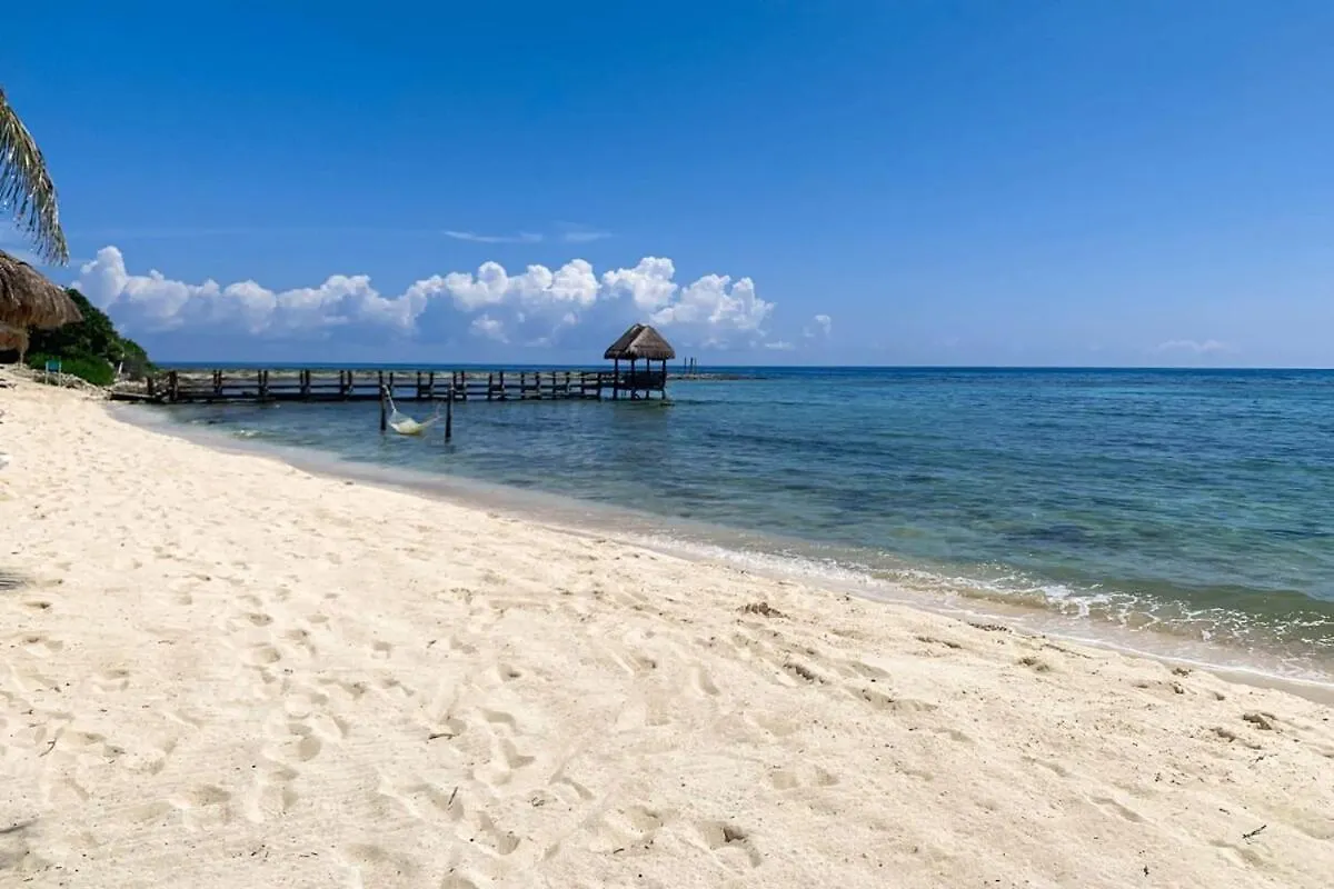 度假居 Chic Beachfront Condo Ocean View Rooftop Pools 艾库玛尔